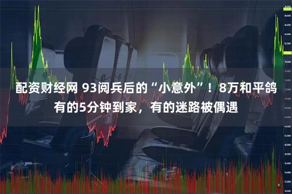 配资财经网 93阅兵后的“小意外”！8万和平鸽有的5分钟到家，有的迷路被偶遇