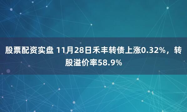 股票配资实盘 11月28日禾丰转债上涨0.32%，转股溢价率58.9%